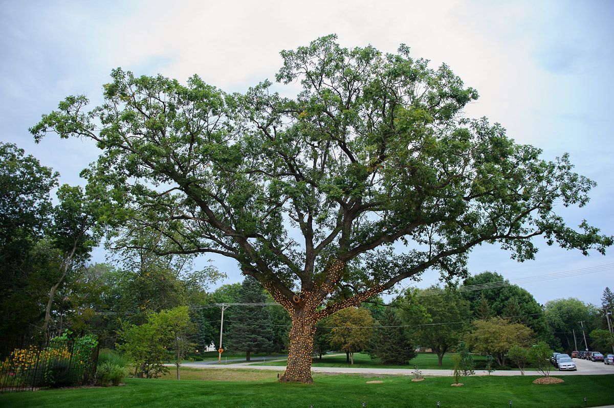 cedar-rapids-wedding-adisa-tyler-25