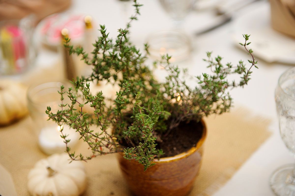 decorah-iowa-luther-college-wedding-038