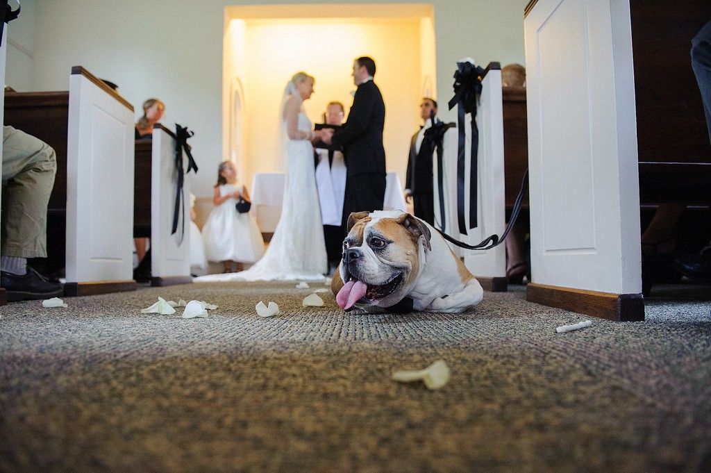 iowa-city-wedding-photographer