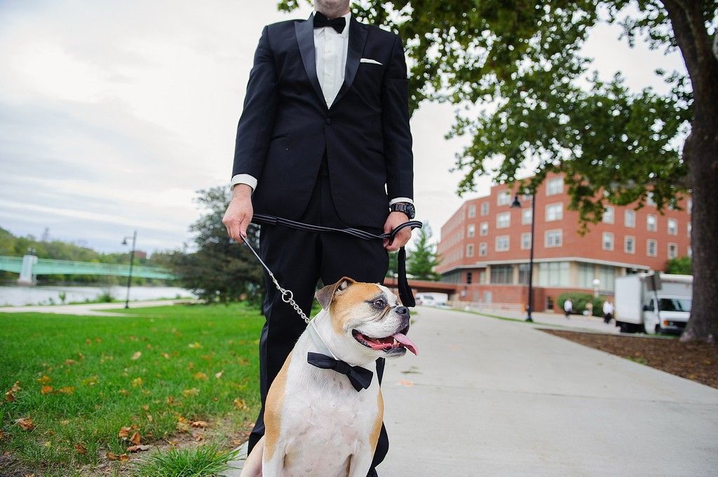 wedding-dog-iowa-city