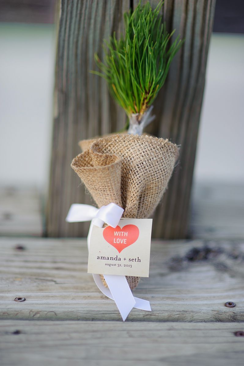 Summerset-Winery-wedding-amanda-seth-355